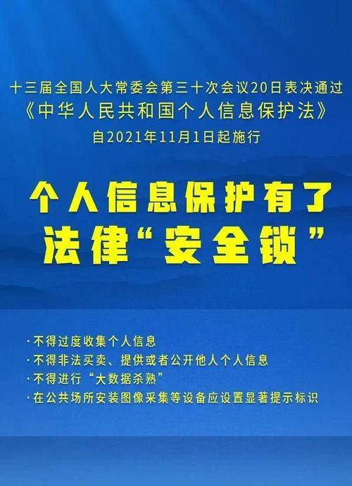 2025香港正版全年免费资料|精选解释解析落实,探索香港正版资料的世界，解析、精选与落实的免费之路