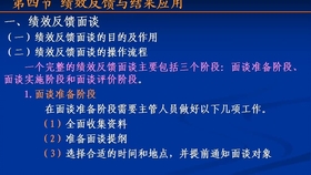 4949资料正版免费大全|精选解释解析落实,探索正版资源，4949资料正版免费大全的精选解析与落实策略