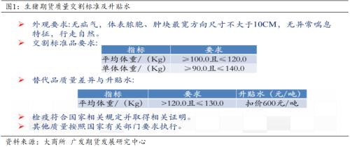 澳门六开奖结果2025开奖记录查询|精选解释解析落实,澳门六开奖结果解析与未来展望，2025年开奖记录查询精选解析落实