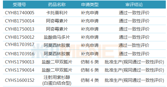 2025正版今晚开特马|精选解释解析落实,解析未来趋势，聚焦2025正版特马与落实策略精选解析